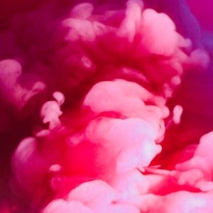 Meet your Posher, Michele